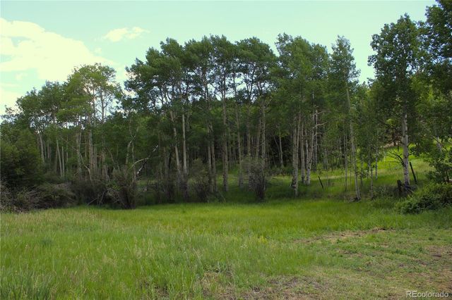 340 CR90, Lake George, CO 80827