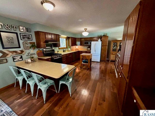 32622 Lake Emily Road, St. Peter, MN 56082