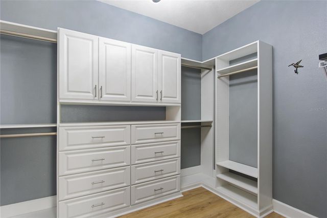 420 SPRING POND LANE, Mount Dora, FL 32757