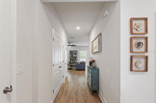 420 SPRING POND LANE, Mount Dora, FL 32757