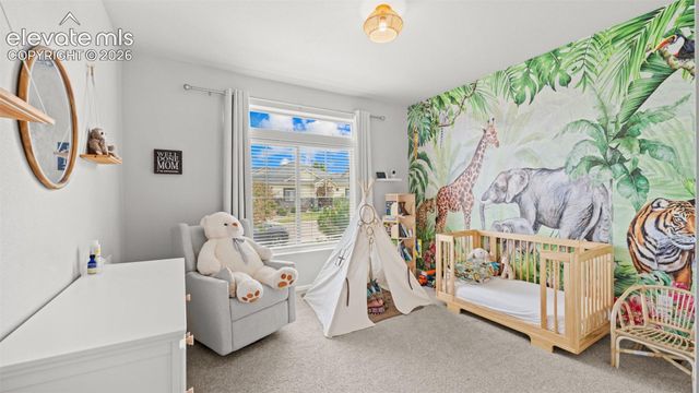 6724 Golden Briar Lane, Colorado Springs, CO 80927