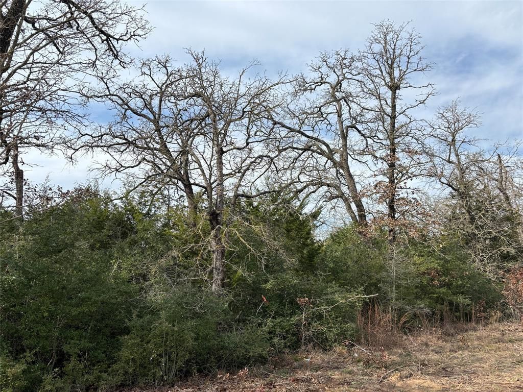 Lot 64 Shadow Oaks DR, Bastrop, TX 78602