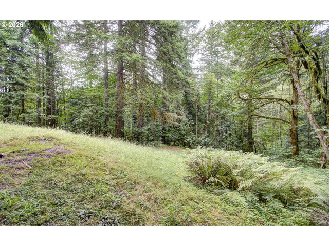 20301 Ne 225TH Ave, Brush Prairie, WA 98606
