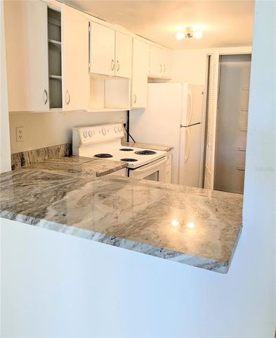 3840 N LAKE DRIVE 125, Tampa, FL 33614