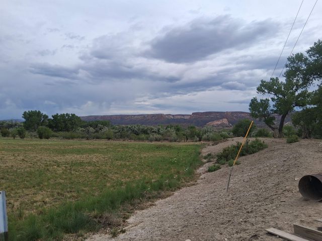 1983 River Road, Fruita, CO 81521