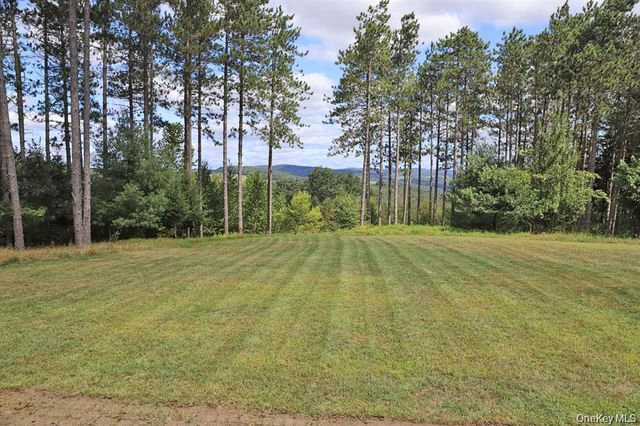 118 Froehlich Drive, Callicoon, NY 12723