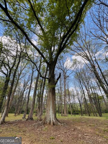 3386 Chandler Road, Good Hope, GA 30641