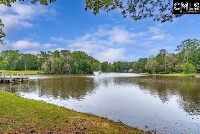 14 Shadow Creek Court, Columbia, SC 29209