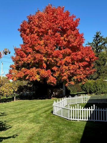 105 Woodland Avenue, Ridgeway, NY 14103