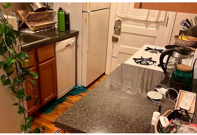 3815 N Greenview Avenue 2E, Chicago, IL 60613