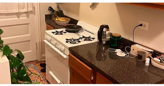 3815 N Greenview Avenue 2E, Chicago, IL 60613