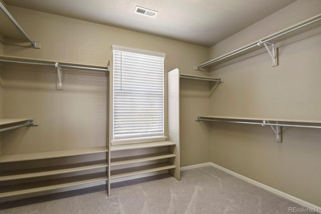 3495 Amber Sun Circle, Castle Rock, CO 80108