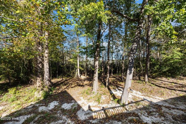 263 Treasure Point Road, Bath, NC 27808