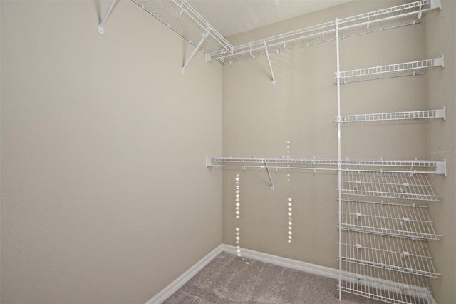 12163 WATER POPPY COURT, Orlando, FL 32828