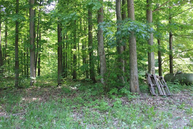 3156 Co Road 612 Ne, Kalkaska, MI 49646