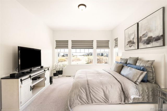 3153 Carabiner Street, Castle Rock, CO 80108