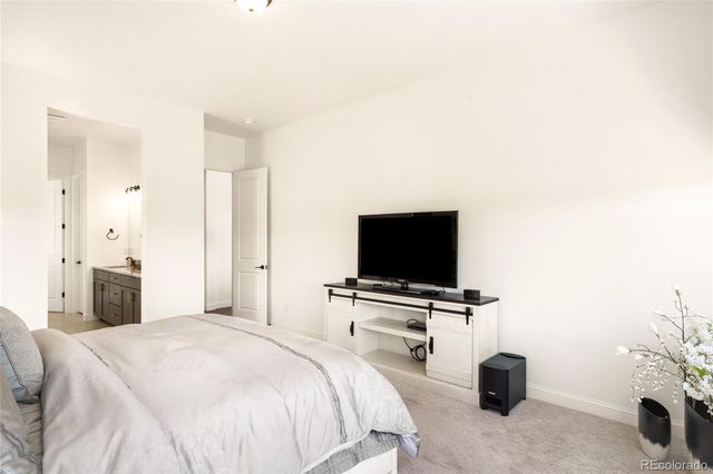 3153 Carabiner Street, Castle Rock, CO 80108