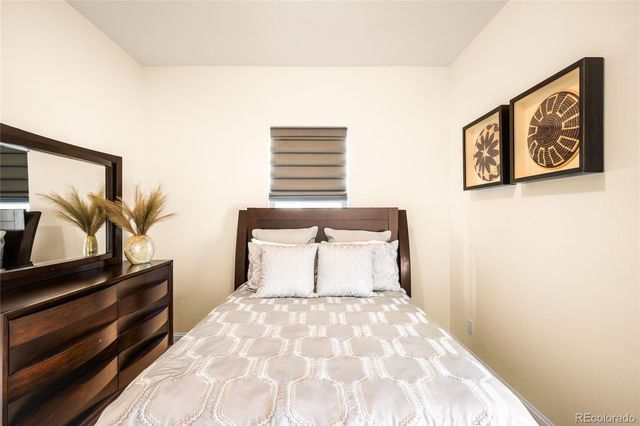 3153 Carabiner Street, Castle Rock, CO 80108