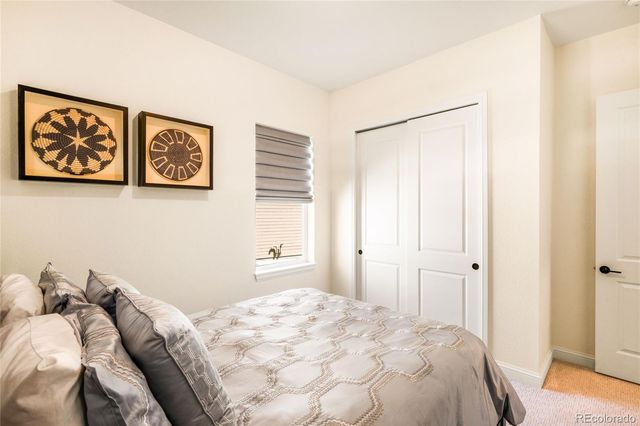 3153 Carabiner Street, Castle Rock, CO 80108