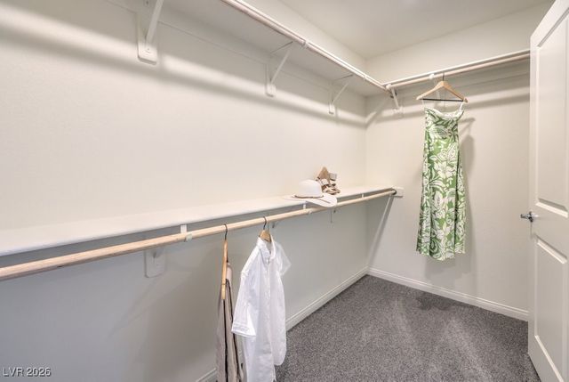 2630 Blue Dawn Falls Ave Street 135, North Las Vegas, NV 89081