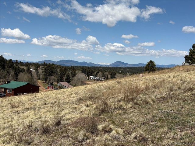 538 Friar Tuck Dr, Divide, CO 80814