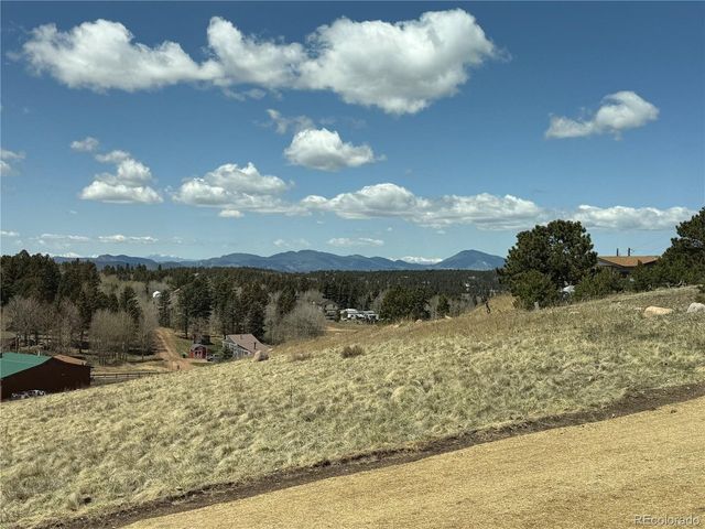 538 Friar Tuck Dr, Divide, CO 80814