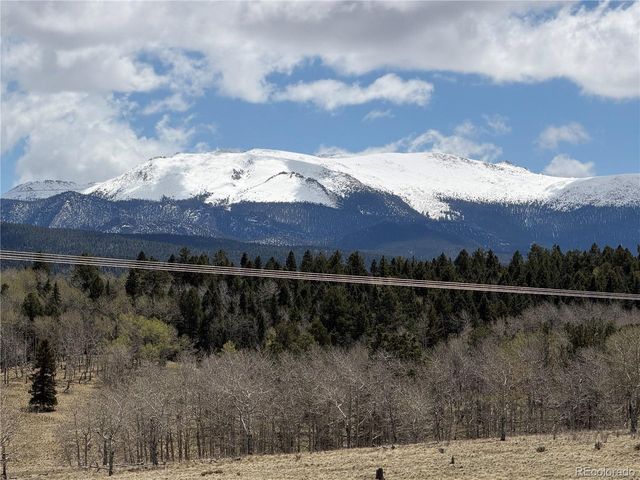 538 Friar Tuck Dr, Divide, CO 80814
