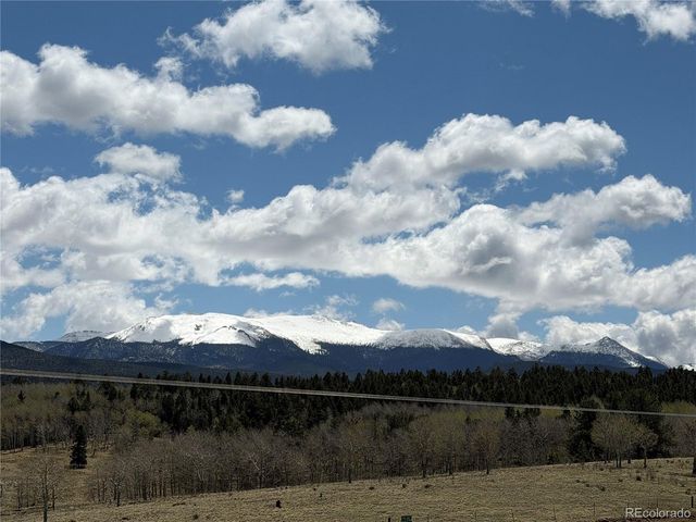 538 Friar Tuck Dr, Divide, CO 80814