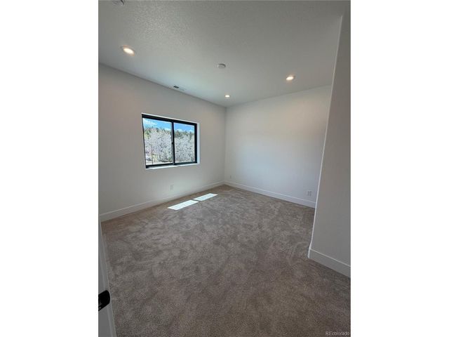 538 Friar Tuck Dr, Divide, CO 80814