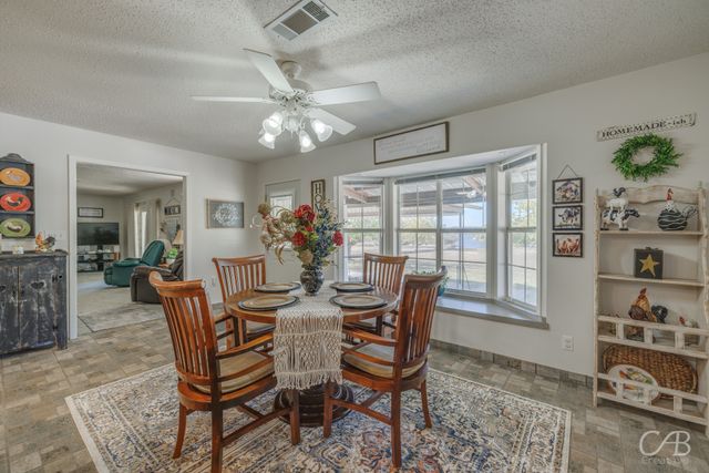 155 Lakeview Drive, Coleman, TX 76834