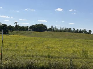 0 Pinson Rd, Springfield, TN 37172