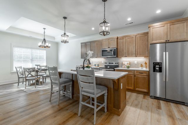 209 Willow Grove Court, Ringgold, GA 30736