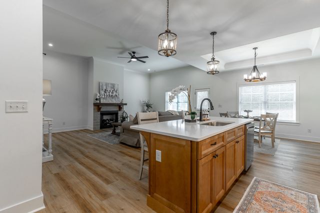 209 Willow Grove Court, Ringgold, GA 30736