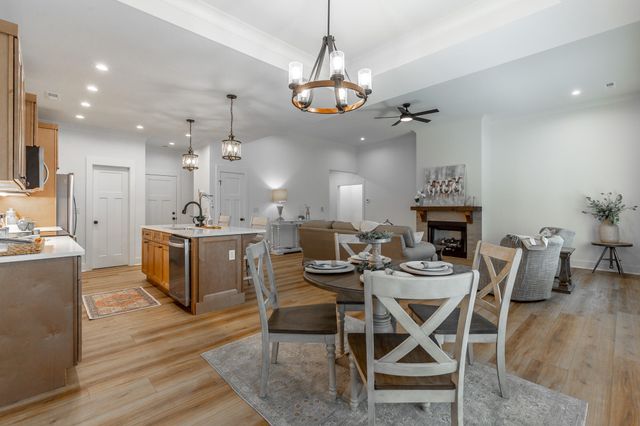 209 Willow Grove Court, Ringgold, GA 30736