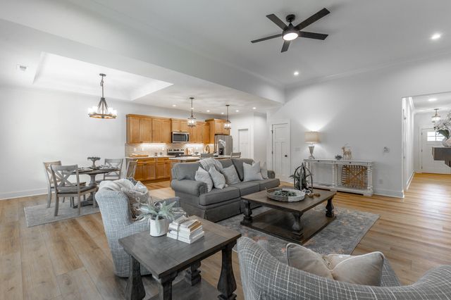 209 Willow Grove Court, Ringgold, GA 30736