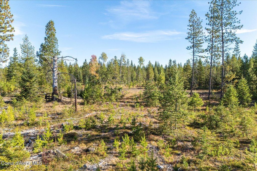 NKA Coyote Trl, Newport, WA 99156 photo 18