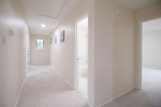 5612 Rainflower Terrace Lane, Spring, TX 77389