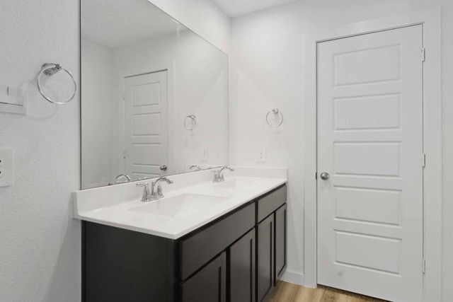 12233 City Rose Court, Houston, TX 77047