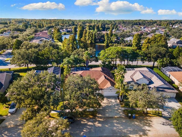 10232 MILLPORT DRIVE, Tampa, FL 33626