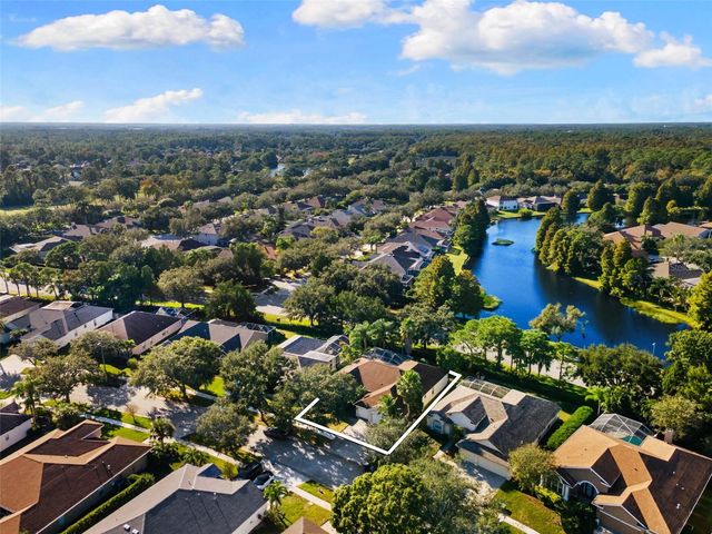 10232 MILLPORT DRIVE, Tampa, FL 33626