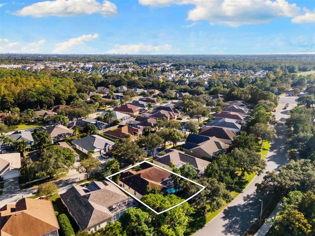 10232 MILLPORT DRIVE, Tampa, FL 33626