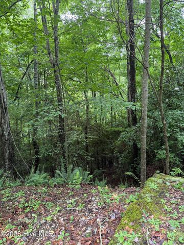 Lot 15 Mountain Vista Lane, Topton, NC 28781