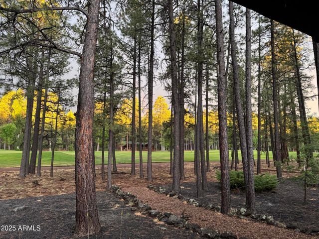 7451 Buck Springs Road, Pinetop, AZ 85935
