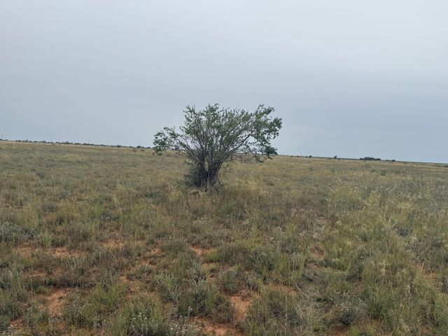 0 Fm 168, Brownfield, TX 79316