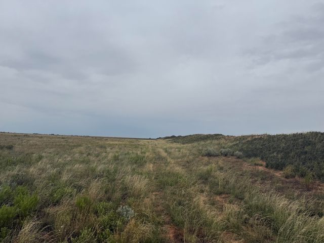 0 Fm 168, Brownfield, TX 79316