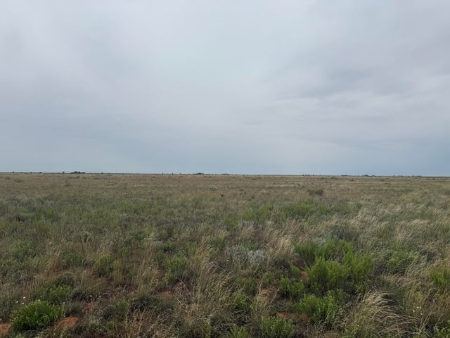0 Fm 168, Brownfield, TX 79316