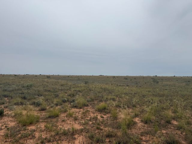 0 Fm 168, Brownfield, TX 79316