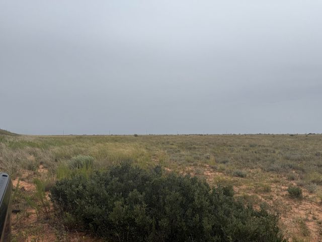 0 Fm 168, Brownfield, TX 79316