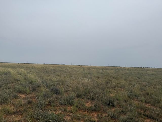 0 Fm 168, Brownfield, TX 79316