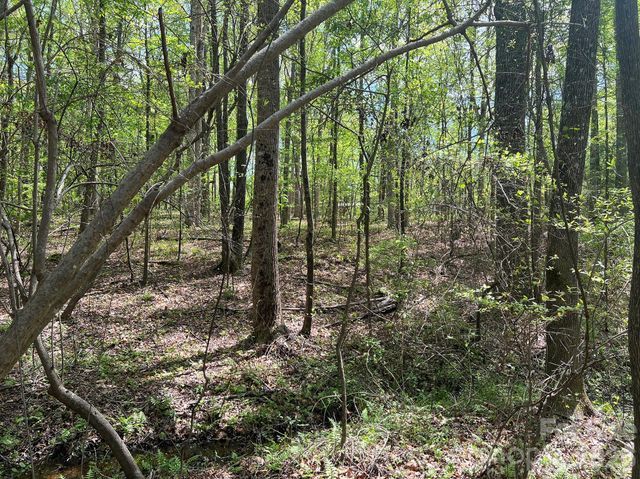 623 Mystic Way Lane, Waxhaw, NC 28173